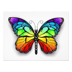 Impression Photo Monarque papillon arc-en-ciel