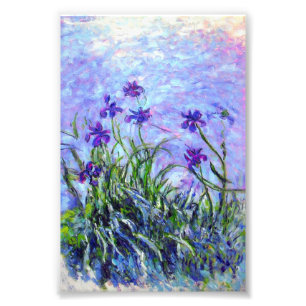 Impression Photo Monet Lilac Irises