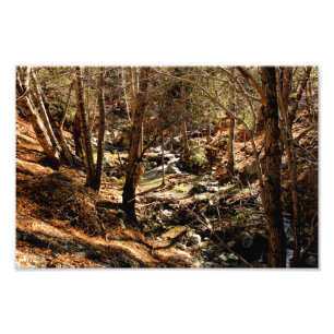 Impression Photo Mont Baldy