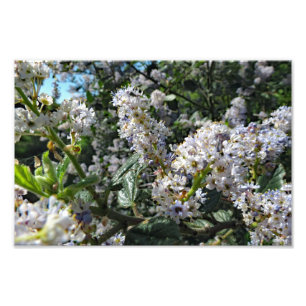 Impression Photo Montagne Brown