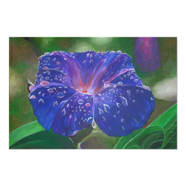 Impression Photo Morning Glory (Ipomoea Purpurea) Petals et Dew Dr. (Devant)