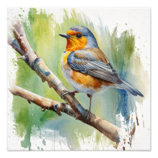 Impression Photo Morning Song robin peinture d'oiseaux