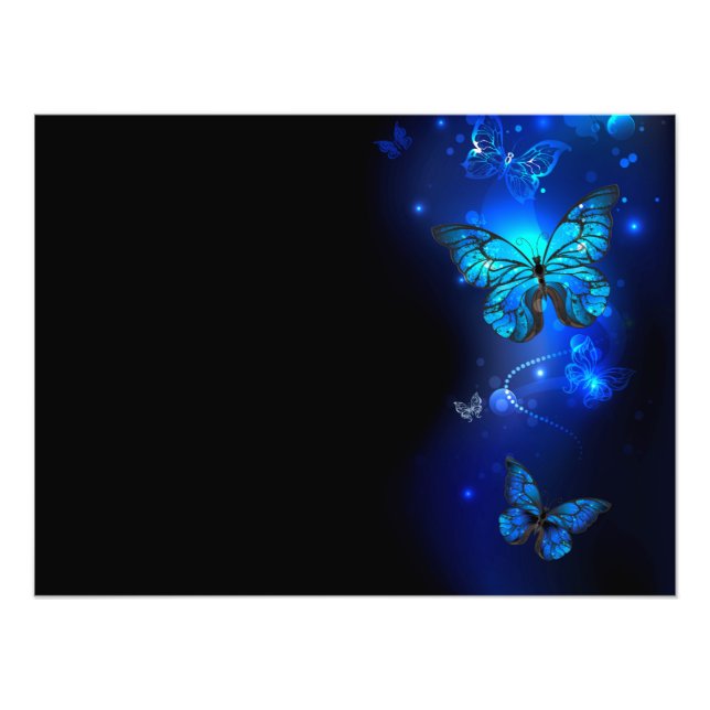 Impression Photo Morpho Butterfly in the Dark Background (Devant)