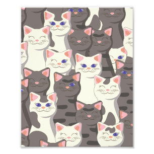 Impression Photo Motif de chats blancs et gris