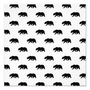 Impression Photo Motif d'ours grizzli blanc et noir