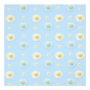 Impression Photo Motif marguerrier sur arrière - plan bleu clair