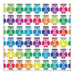 Impression Photo Motif mignon de hibou d'arc-en-ciel