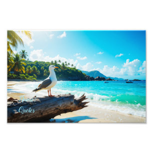Impression Photo Mouette majestueuse sur une plage tropicale