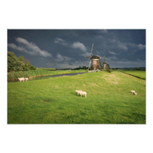 Impression Photo Moutons avec moulins à vent sous des nuages sombr