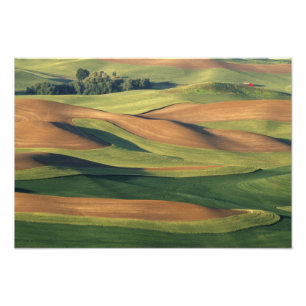 Impression Photo N.A., États-Unis, Washington, comté de Whitman.