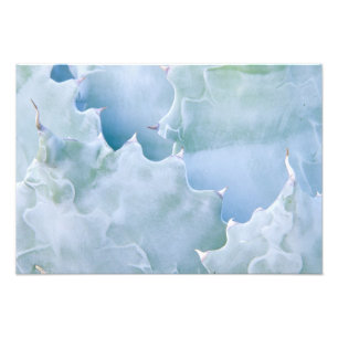 Impression Photo N.A., USA, Arizona, Tucson, Sonora Desert 2