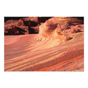 Impression Photo NA, USA, Utah, Vermillion Cliffs. Bouton Coyote