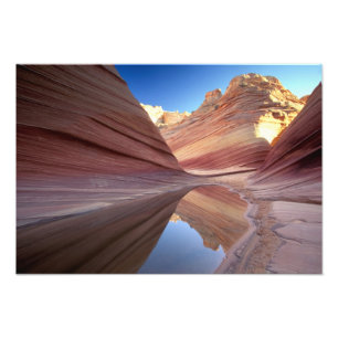 Impression Photo NA, USA, Utah, Vermillion Cliffs. Bouton Coyote 2