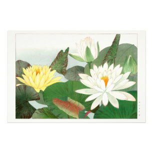 Impression Photo Nymphaea lotus, gravure sur bois japonaise, 1917