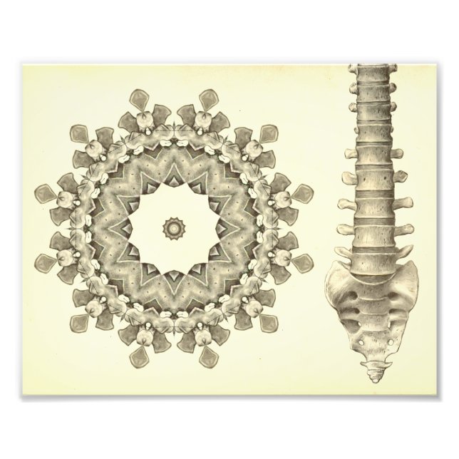 Impression Photo Oeuvre de la Chiropratique de la colonne vertébral (Devant)