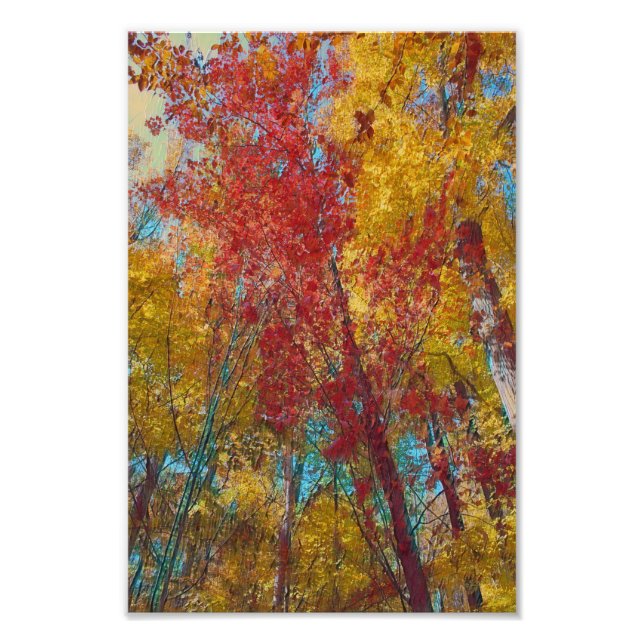 Impression Photo Oeuvre forestière d'automne (Devant)