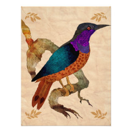 Impression Photo Oiseau