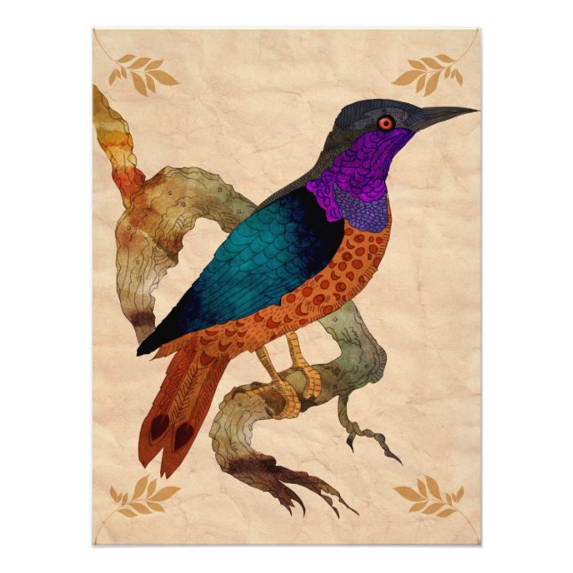 Impression Photo Oiseau (Devant)