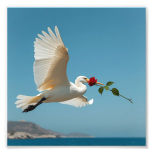 Impression Photo Oiseau