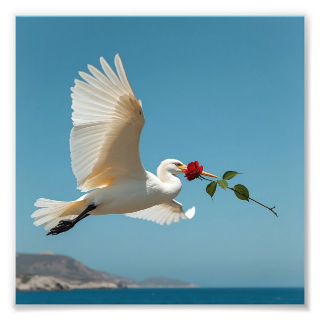 Impression Photo Oiseau (Devant)