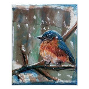 Impression Photo Oiseau adorable de bleu d'hiver d'oiseau de