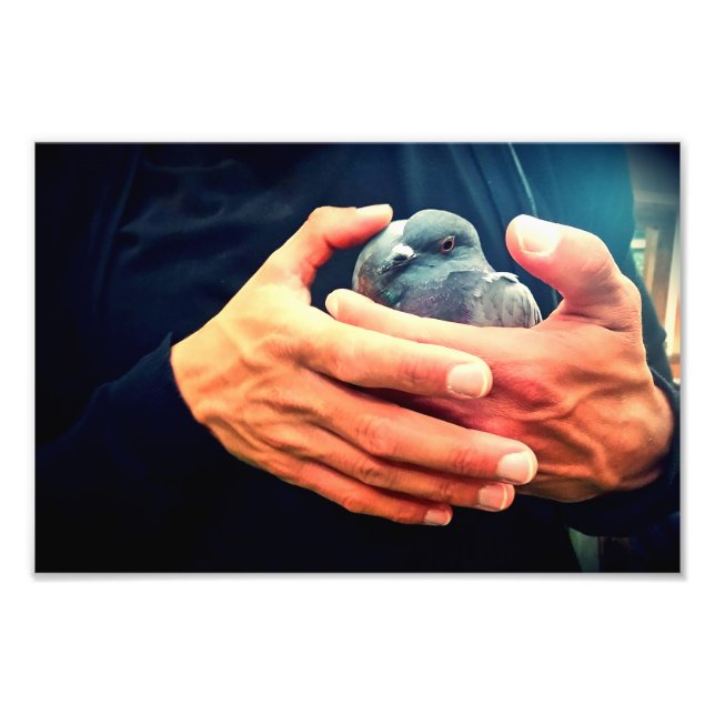 Impression Photo Oiseau blessé (Devant)