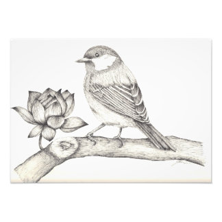 Impression Photo Oiseau et fleurs
