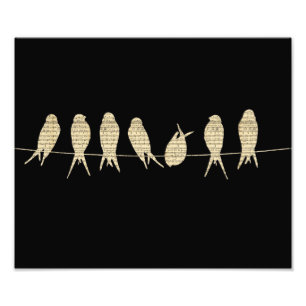 Impression Photo Oiseaux de musique