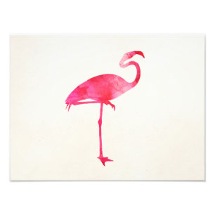 Impression Photo Oiseaux roses de la Floride de silhouette