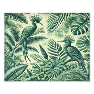 Impression Photo Oiseaux tropicaux Ciel_ Art Vintage