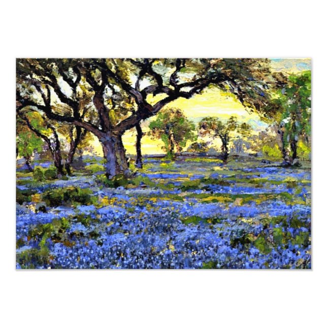 Impression Photo Onderdonk - Vieux chêne vivant et bleuets (Devant)