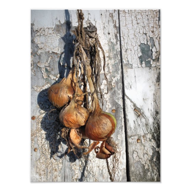 IMPRESSION PHOTO ONIONS (Devant)