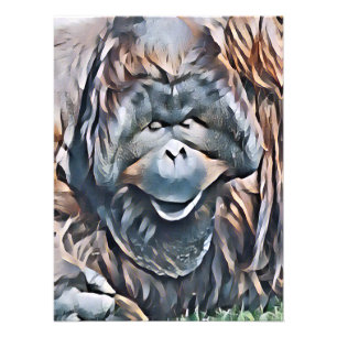 IMPRESSION PHOTO ORANGUTAN