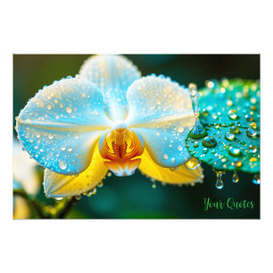 Impression Photo Orchidée Blanche Élégante avec Gouttelettes d'Eau