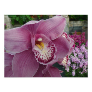 Impression Photo Orchidée violette et jardin coloré Floral