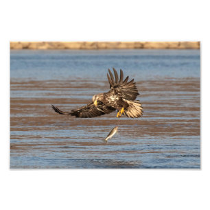 Impression Photo Oups, Je L'Ai Laissé Tomber.