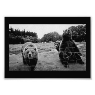 Impression Photo Ours conviviaux