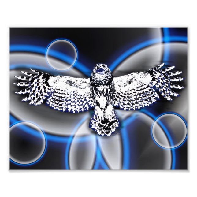 Impression Photo Owl (Devant)