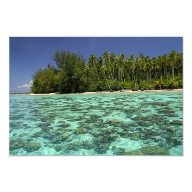 Impression Photo Pacifique Sud, Polynésie française, Moorea 3 (Devant)