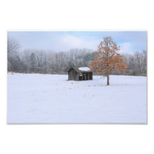 Impression Photo Paddock couvert de neige