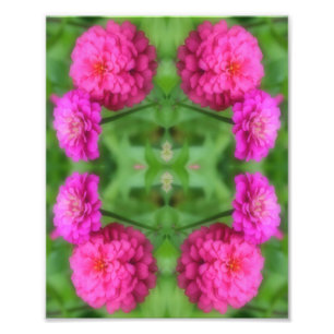 Impression Photo Paire rose Zinnia Paire Miroir Abstrait 8x10