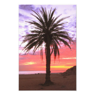 Impression Photo Palm Tree et Dawn Sky