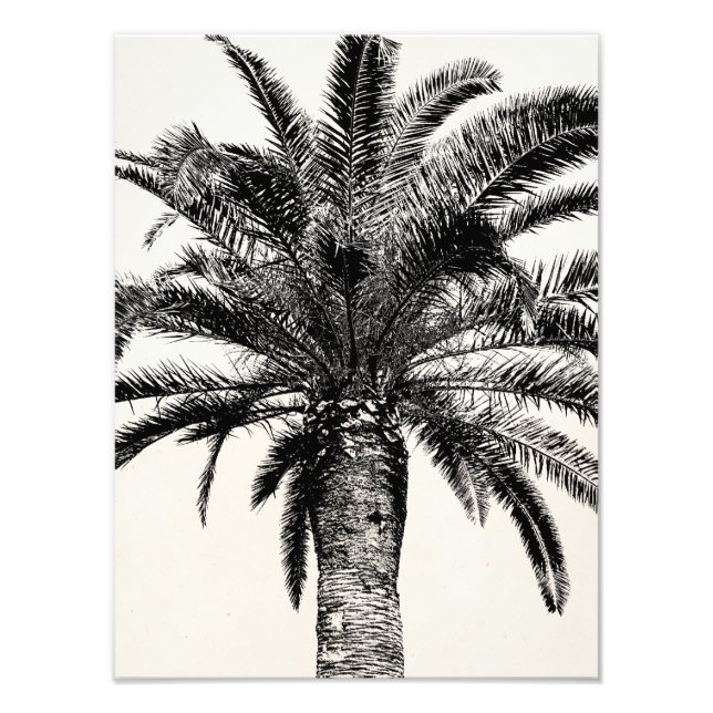 Impression Photo Palmier de l'île tropicale rétro en noir et blanc (Devant)