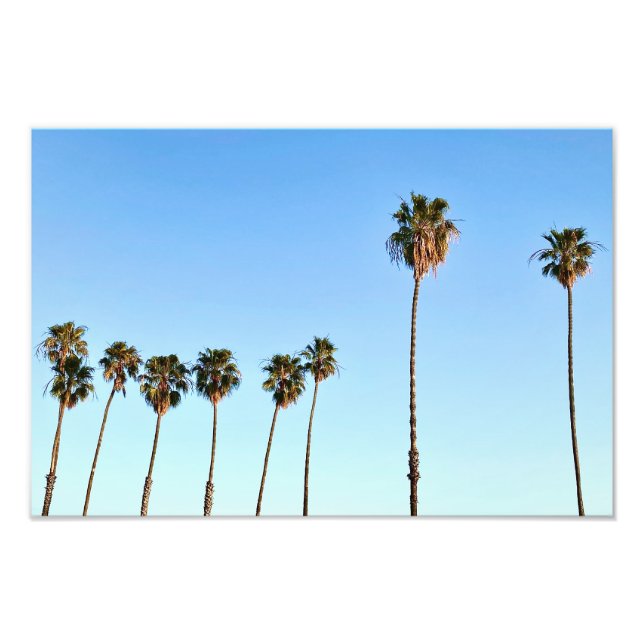 Impression Photo Palmiers de Californie à l'heure d'or (Devant)