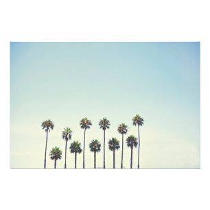 Impression Photo Palmiers en Californie