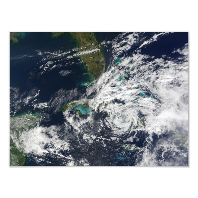 Impression Photo Paloma, ouragan (Devant)