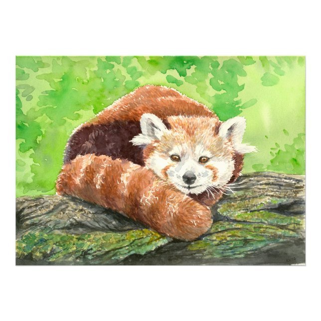 Impression Photo Panda rouge (Devant)