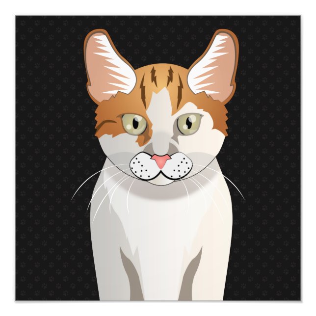 Impression Photo Paniers de dessin de chat Manx (Devant)