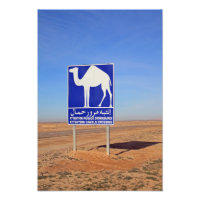 Panneau de chameaux, Tunisie