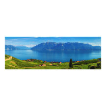 Panorama sur la région de Lavaux, Vaud, Suisse